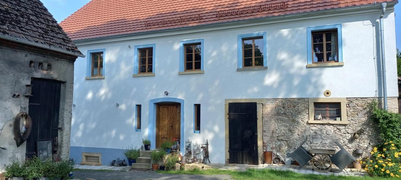 Hotel Biala Kalina Kaczawy Schönau an der Katzbach Exterior foto